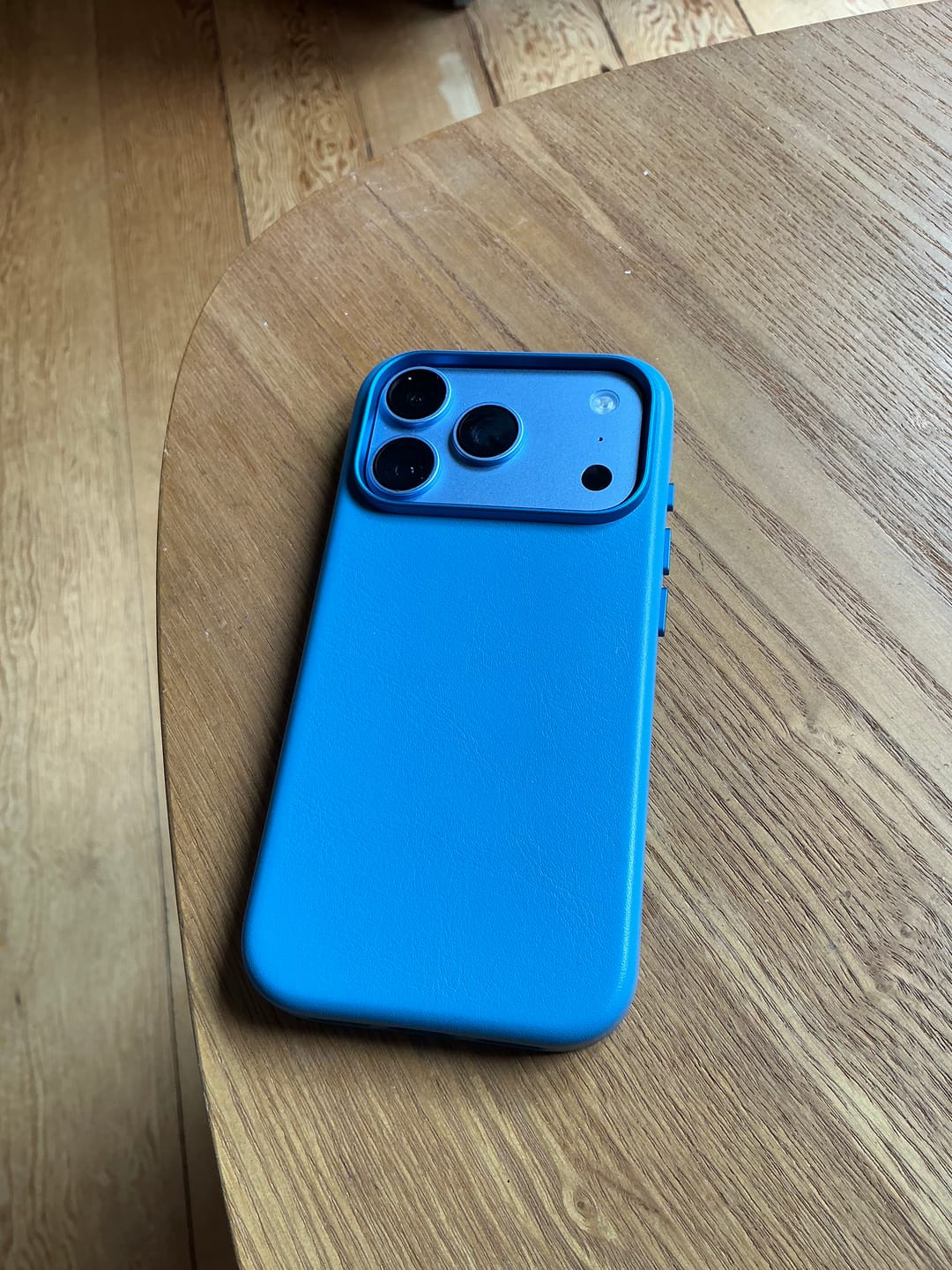 Customer photo review of iPhone 18 Pro Leather Case - MagSafe - Sky Blue