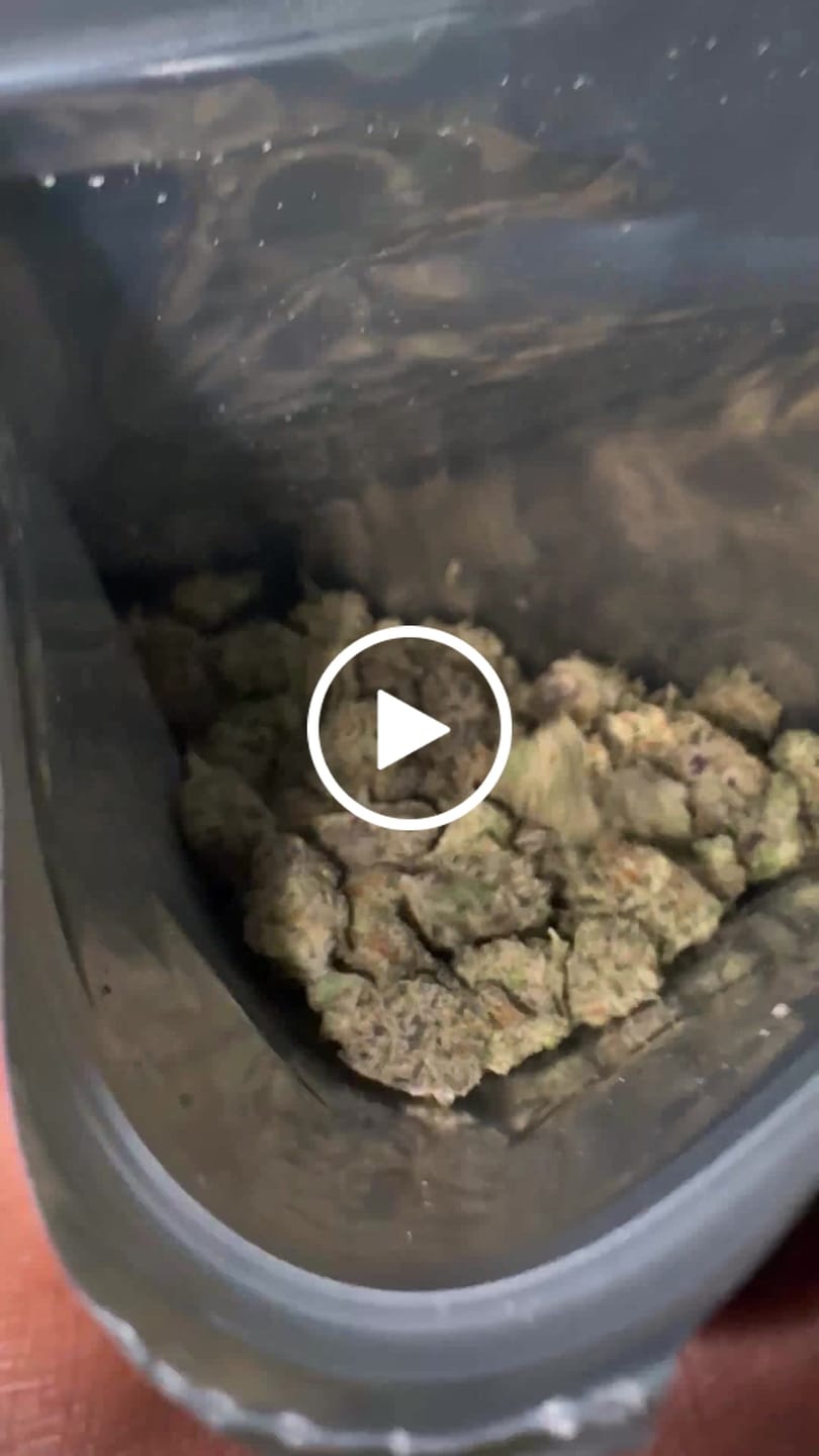 Customer video review of Bulk THCA Micros