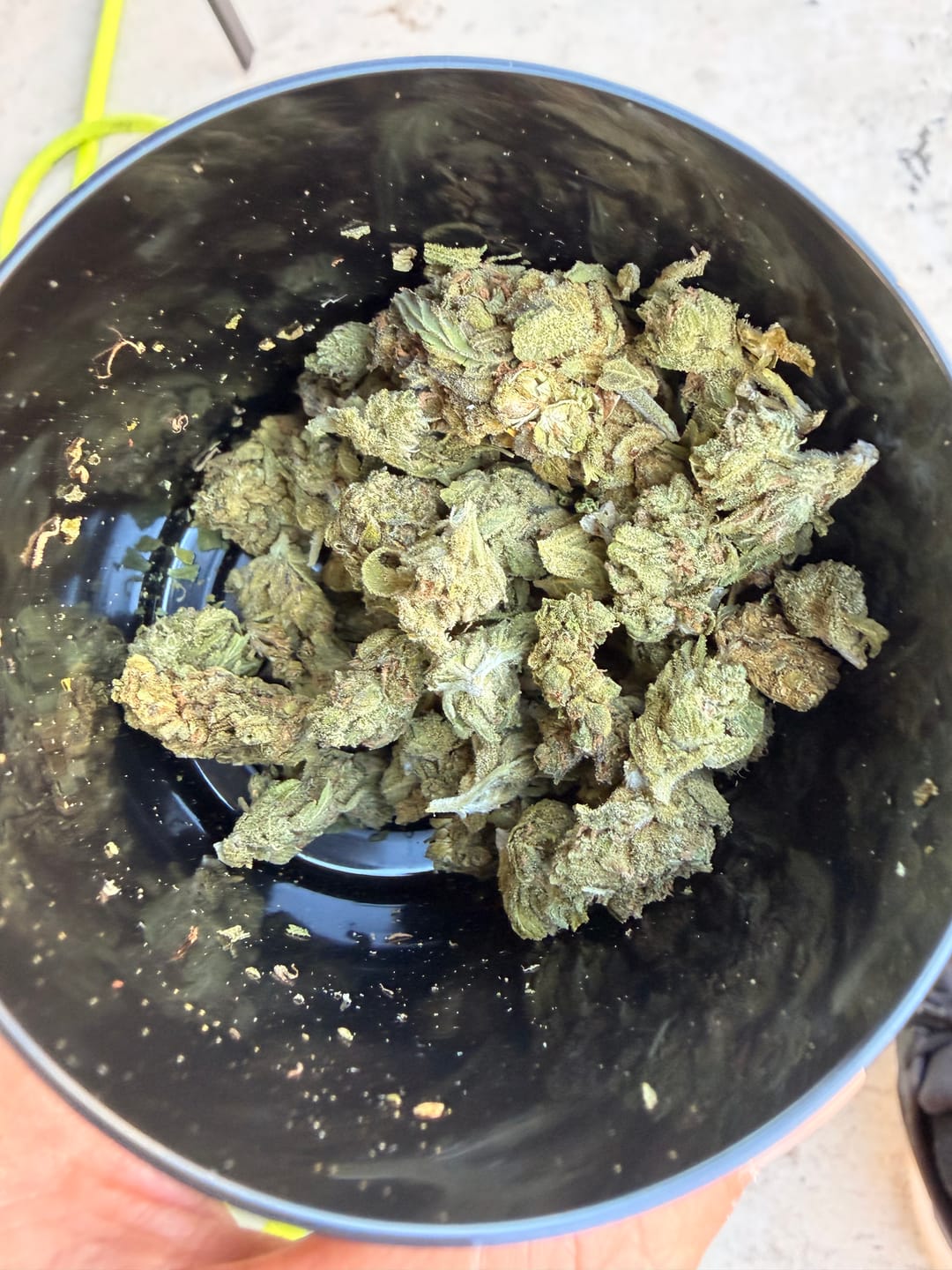 Customer photo review of Jungle Gelato - 28 Grams - Indica