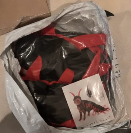 Customer photo review of Centipede Cat Costume