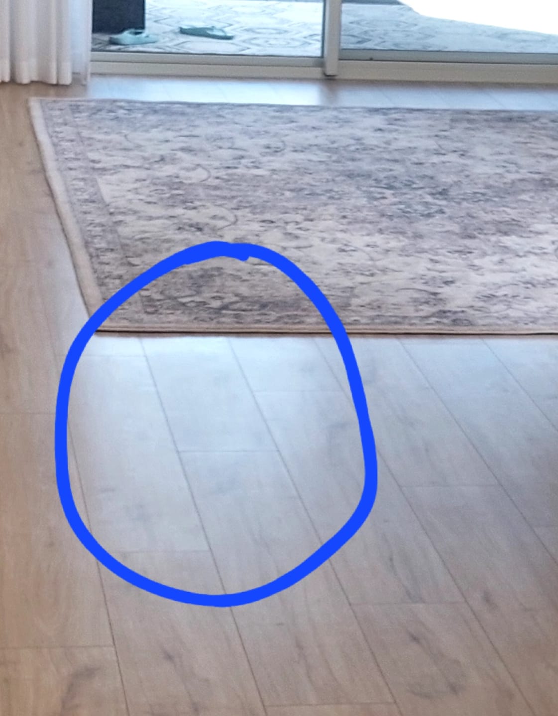 Customer photo review of SHYN Degreaser
