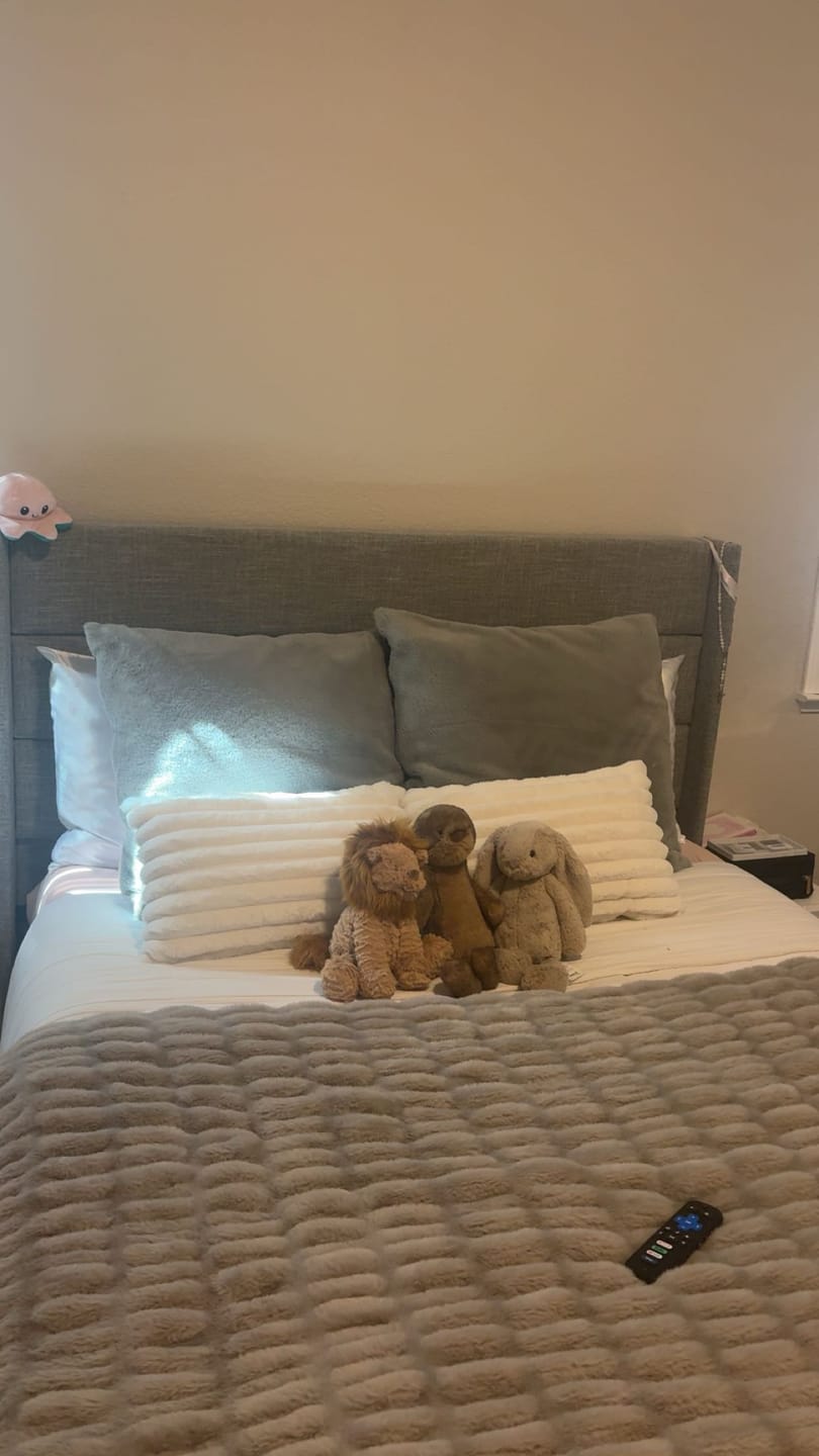 Customer photo review of Hugs Tranquil Dove Blanket