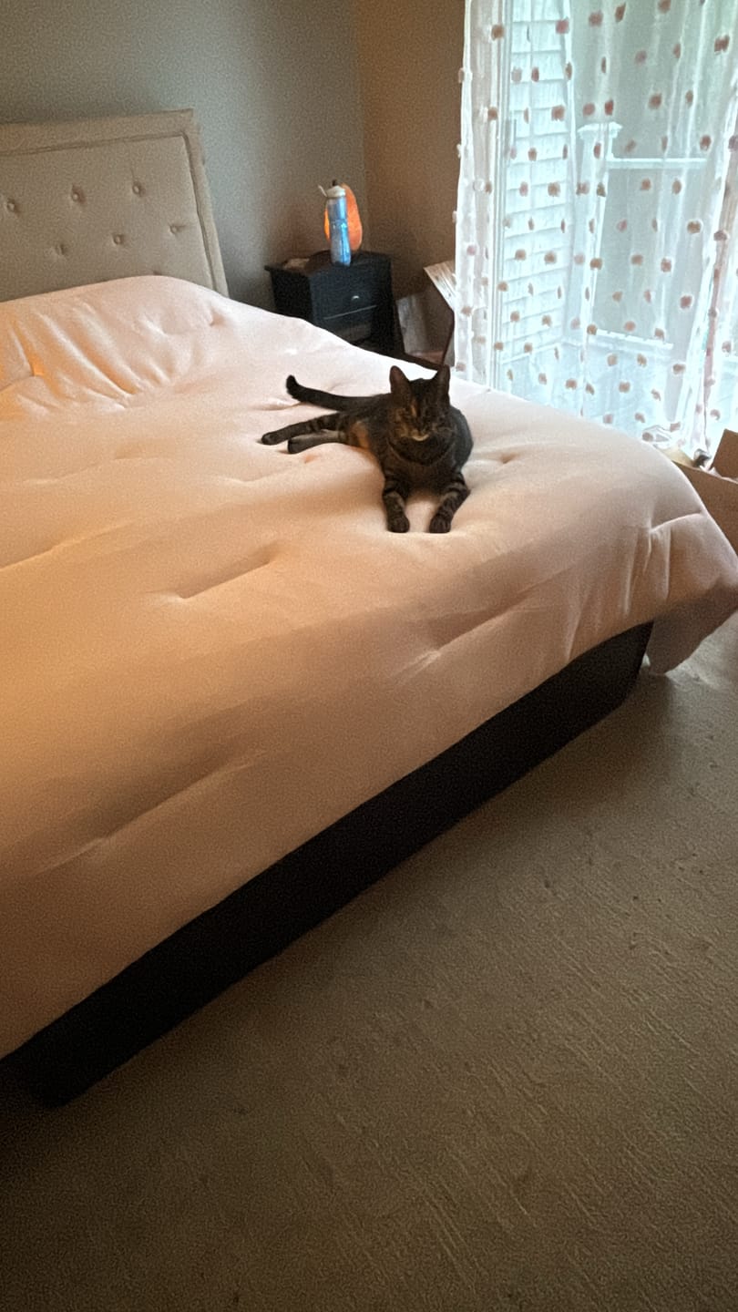 Customer photo review of MarshMellow Comforter