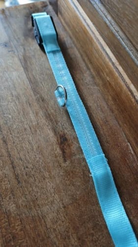 Customer photo review of Double-Light Collar to See Your Dog at Night