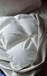 Customer photo review of 700 F.P Luxe Puff Down Pillow