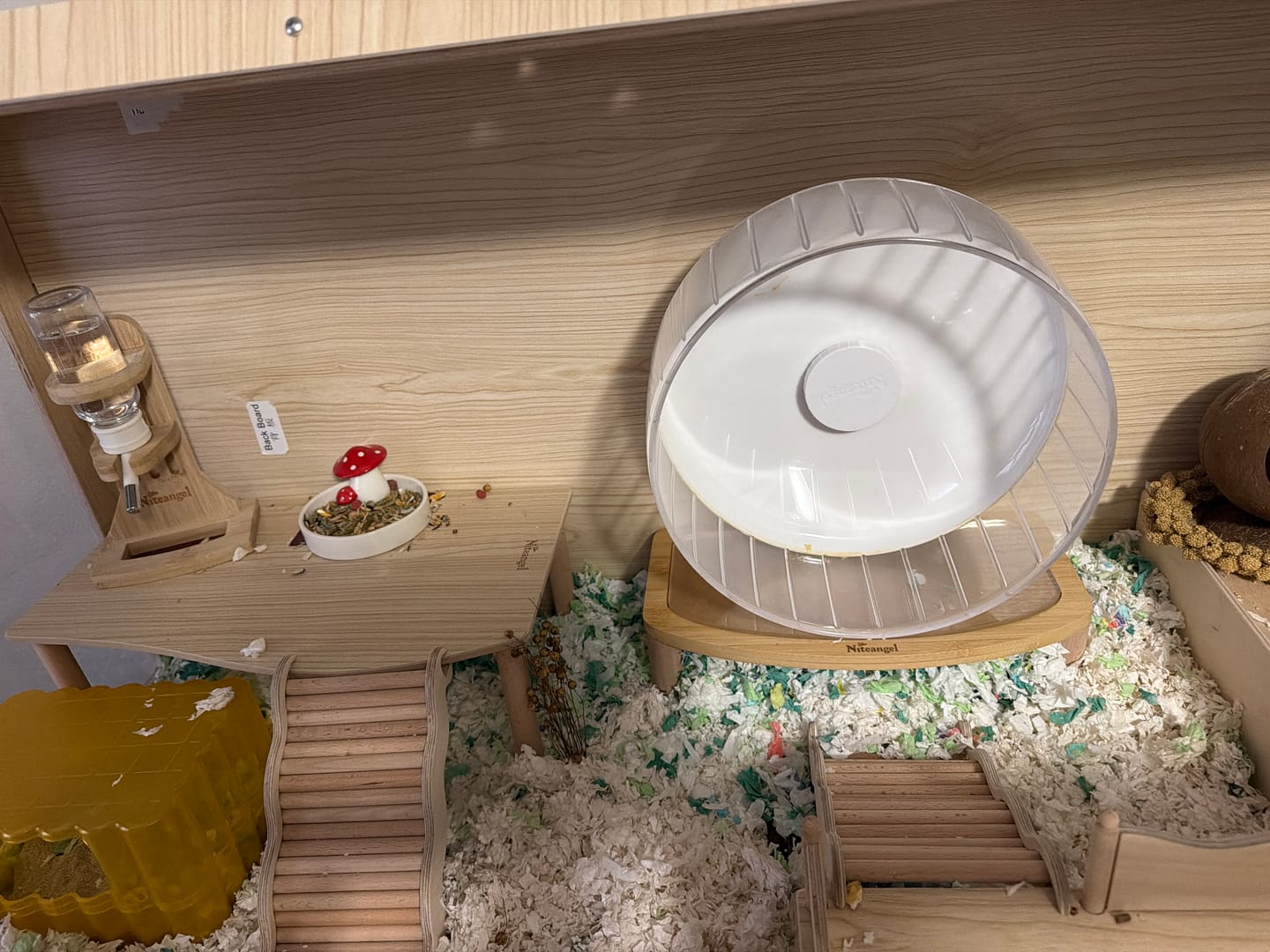 Customer photo review of Niteangel Anti-Slide Hamster Wheel Platform - Fits Super-Silent Hamster Wheel | Acrylic Wheel | Wooden Wheel | Cloud Series Hamster Wheel
