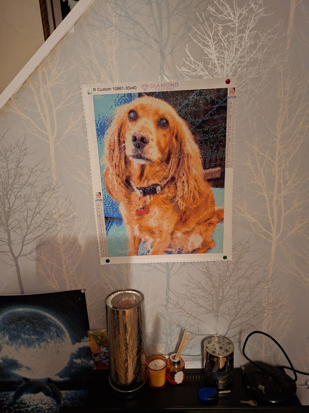 Customer photo review of Custom Diamond Painting Kit