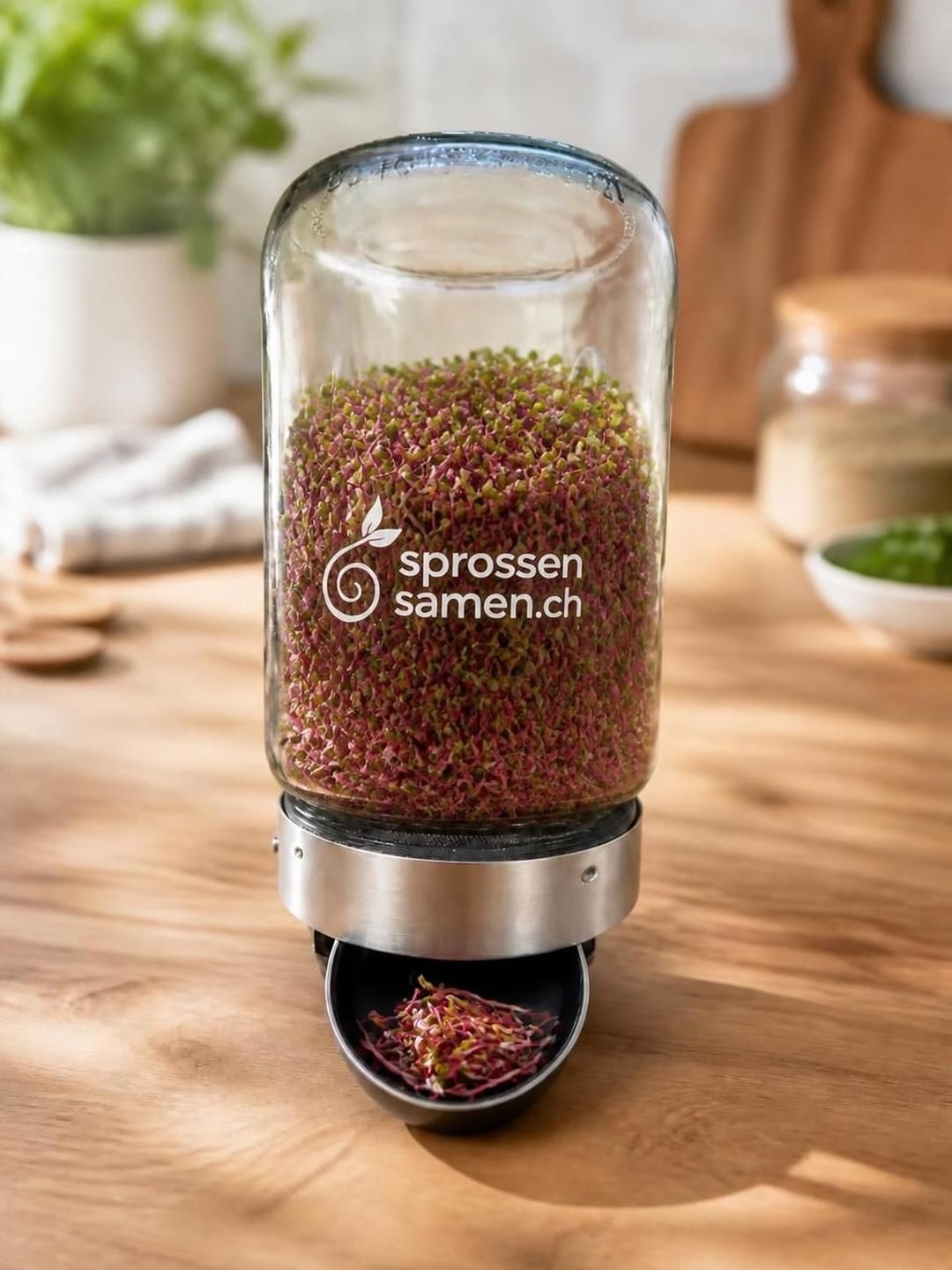 Customer photo review of Randen / Rote Beete Bio Samen 100g