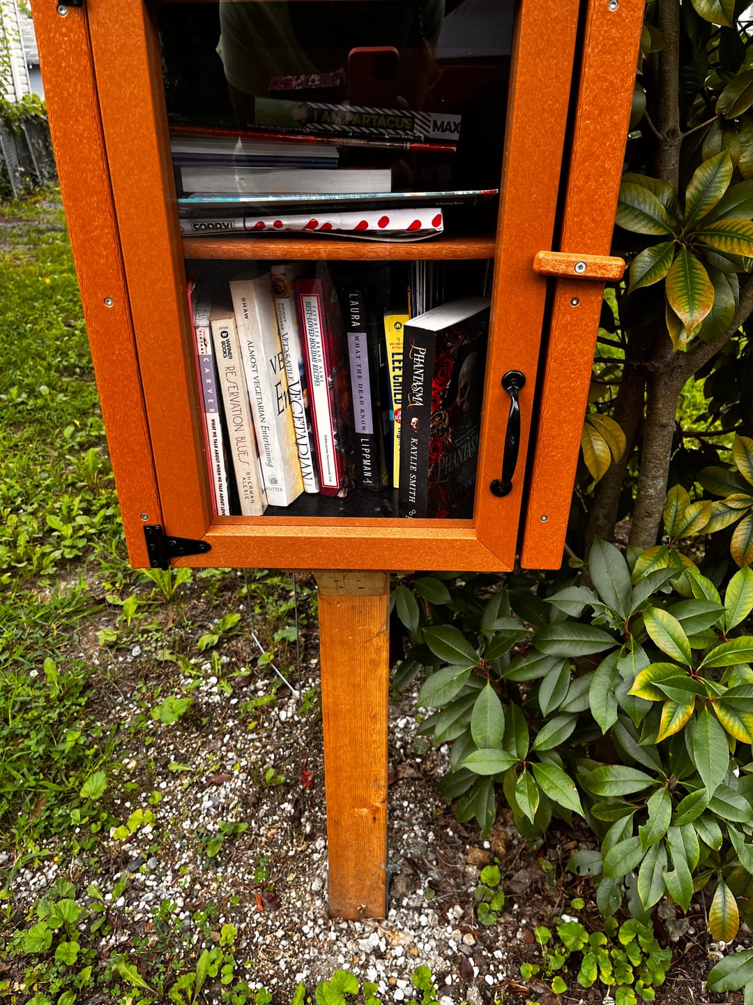 Customer photo review of Composite Two Story Cedar Little Free Library