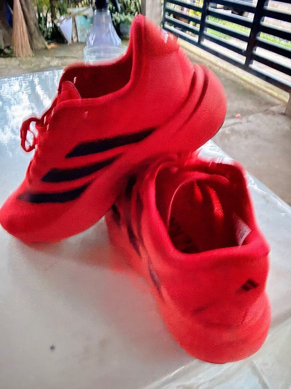Customer photo review of Adizero Evo SL Pure Ruby - AZR
