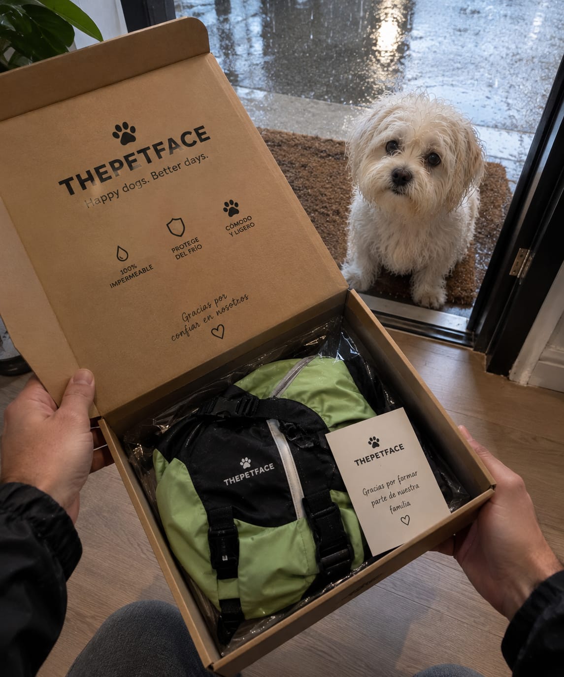 Customer photo review of Chubasquero integral para perros pequeños