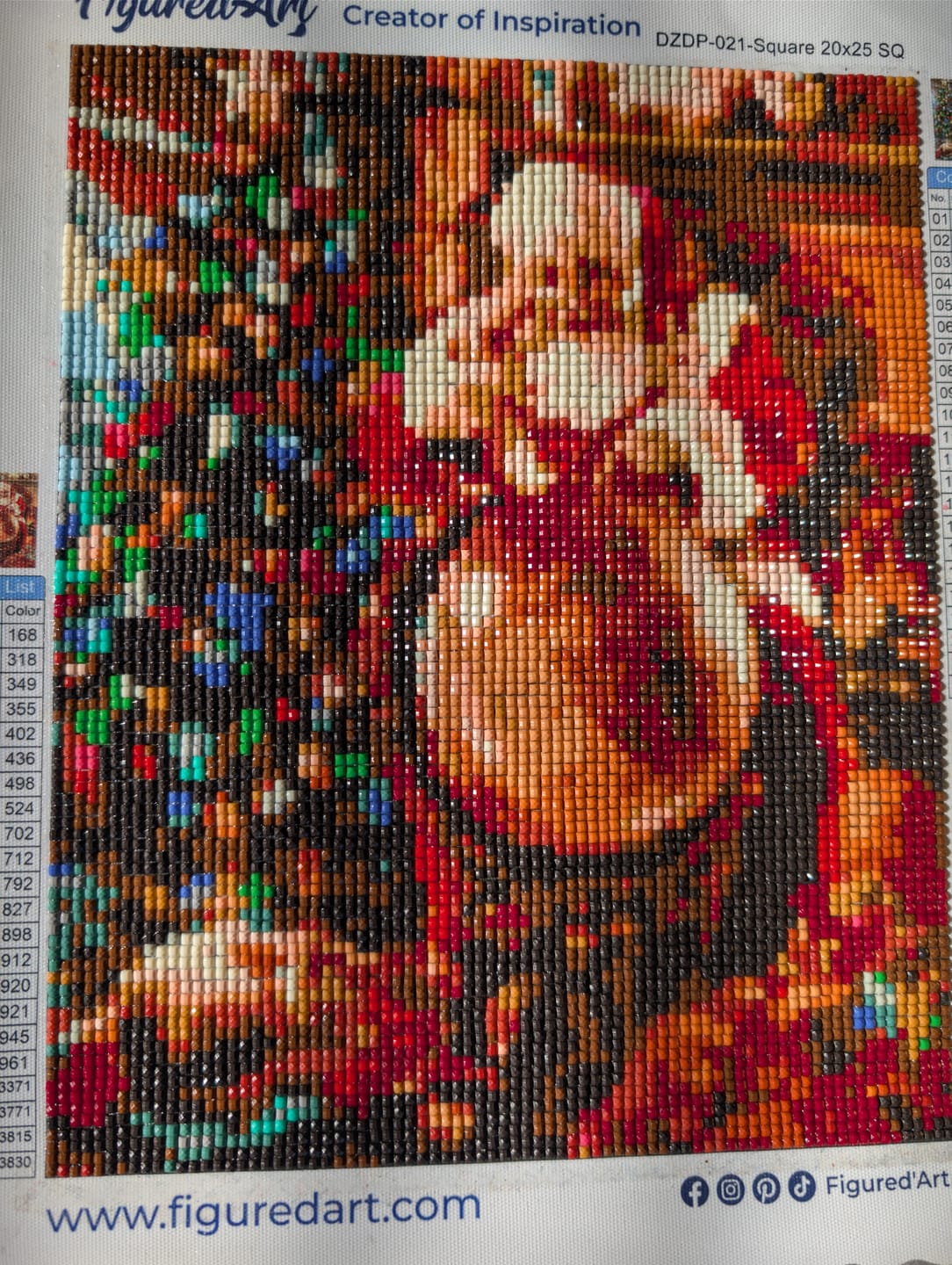 Customer photo review of Broderie Diamant - Père Noël