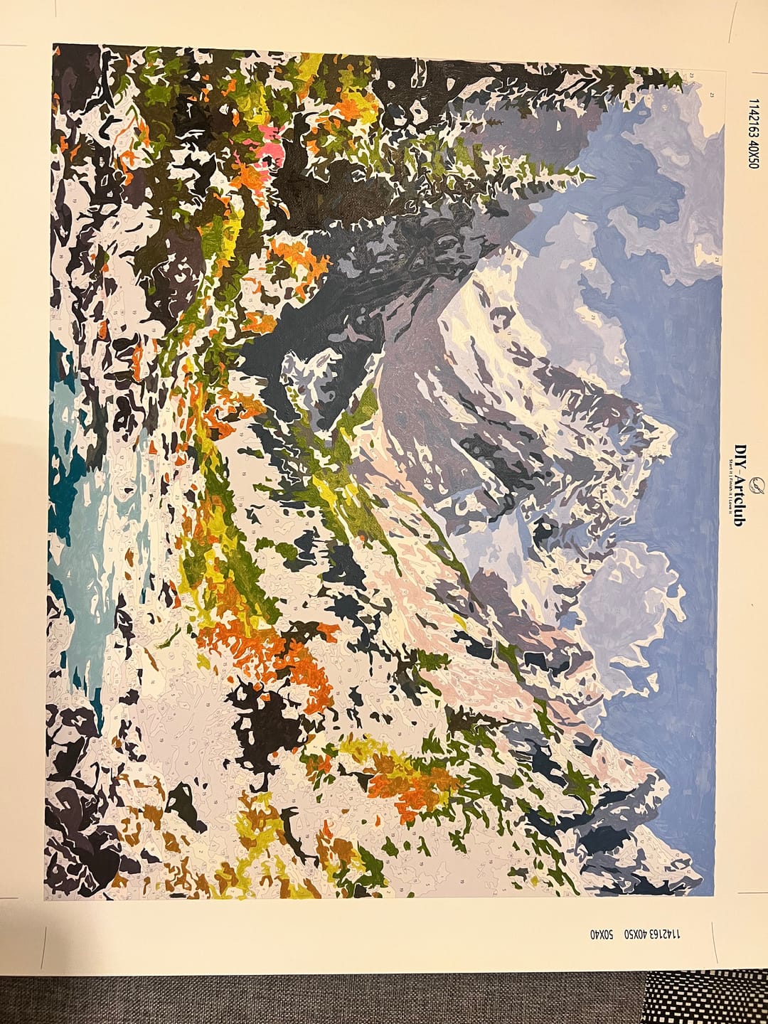 Customer photo review of Source of nature | Paint by Number