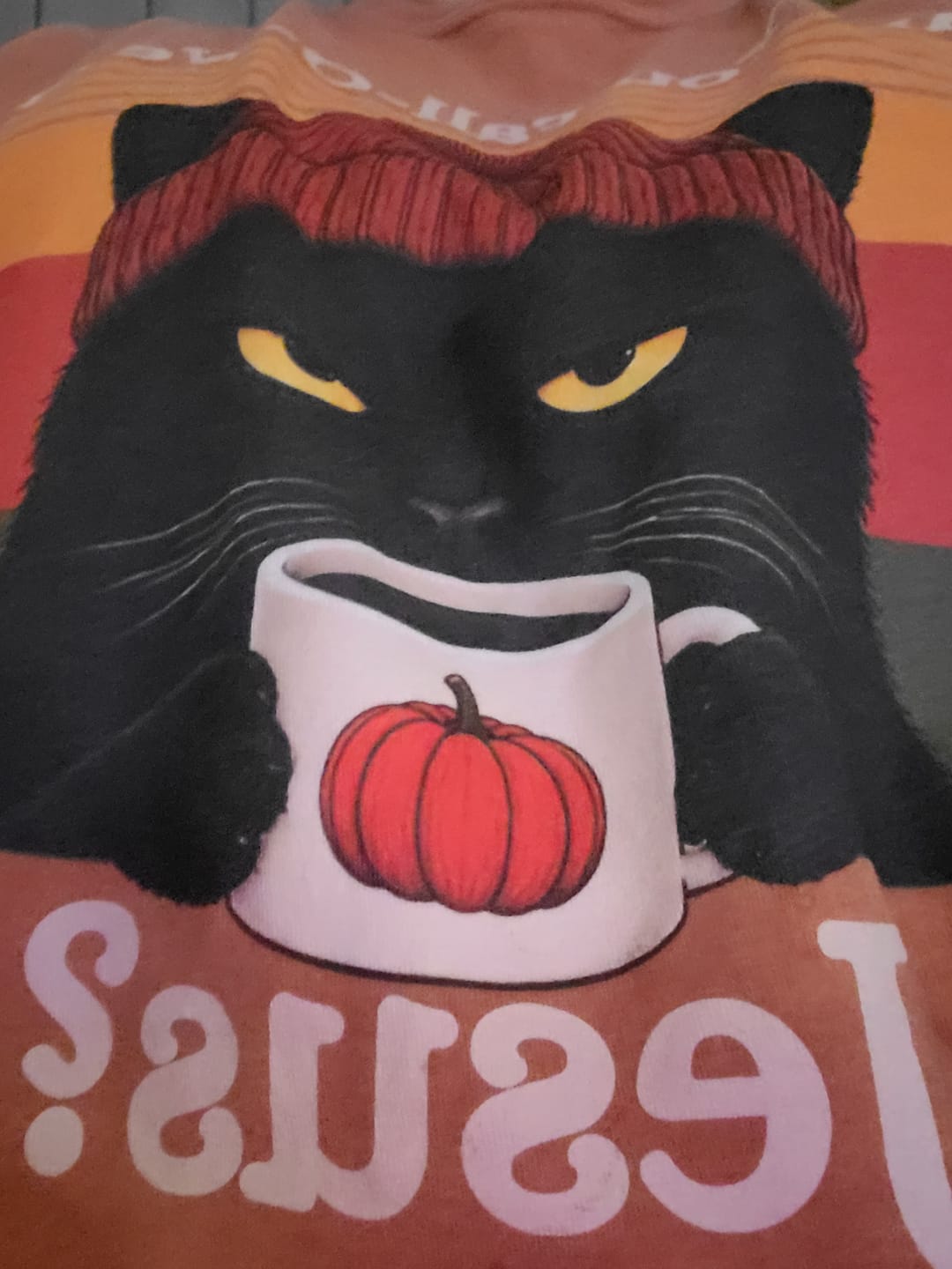 Customer photo review of Fall-O-Ween Cat T-Shirt