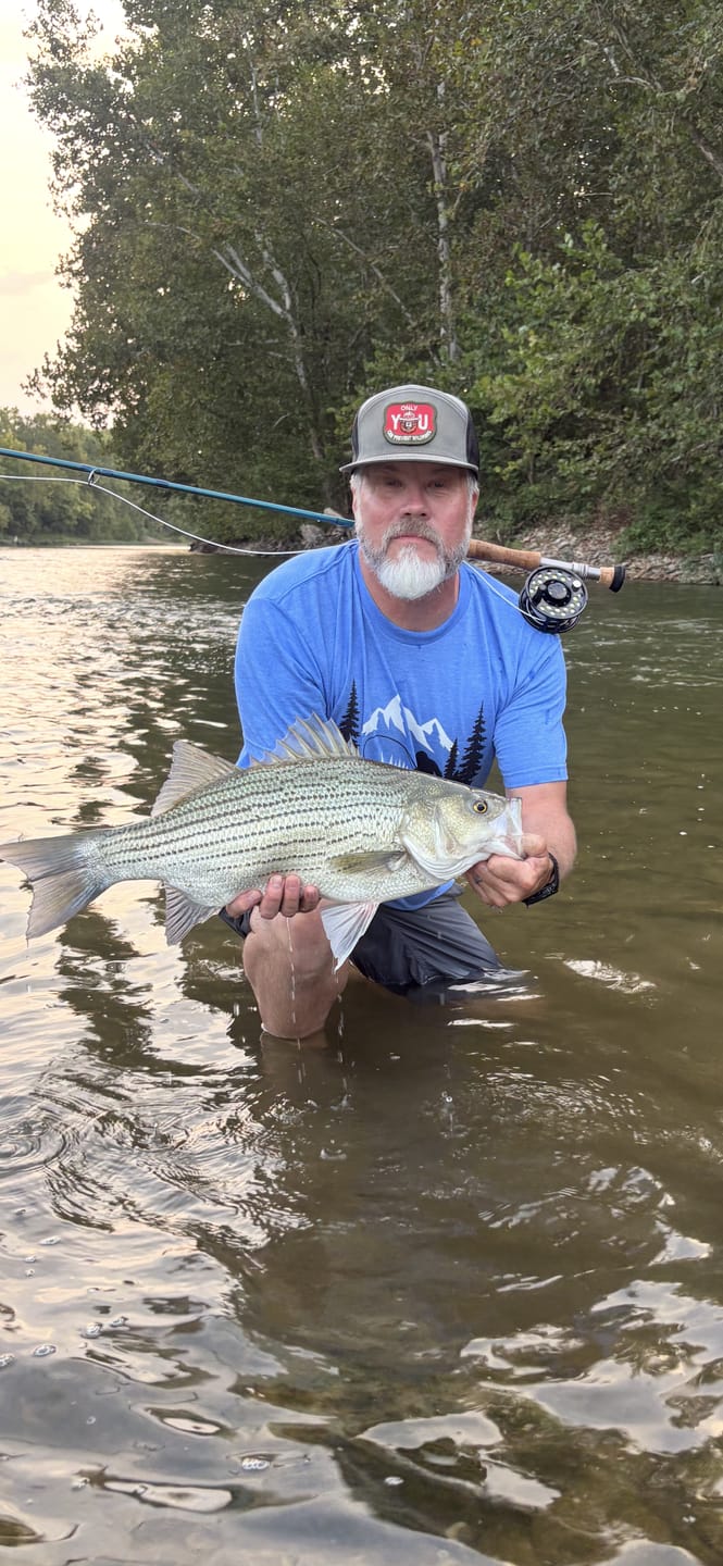 Customer photo review of Fly Fishing Bigfoot T-Shirt