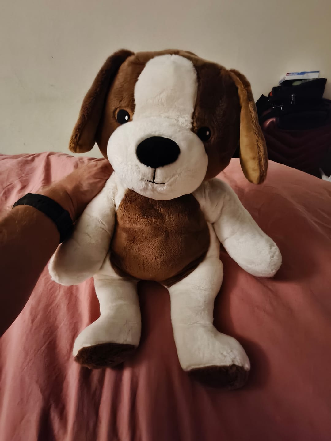 Customer photo review of Lotgenootje Hond 2kg