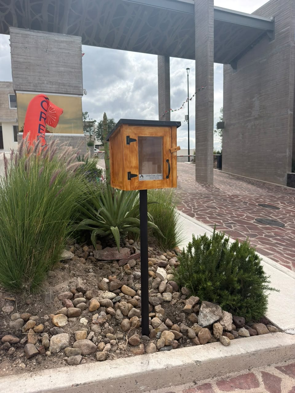 Customer photo review of Mini Shed Little Free Library