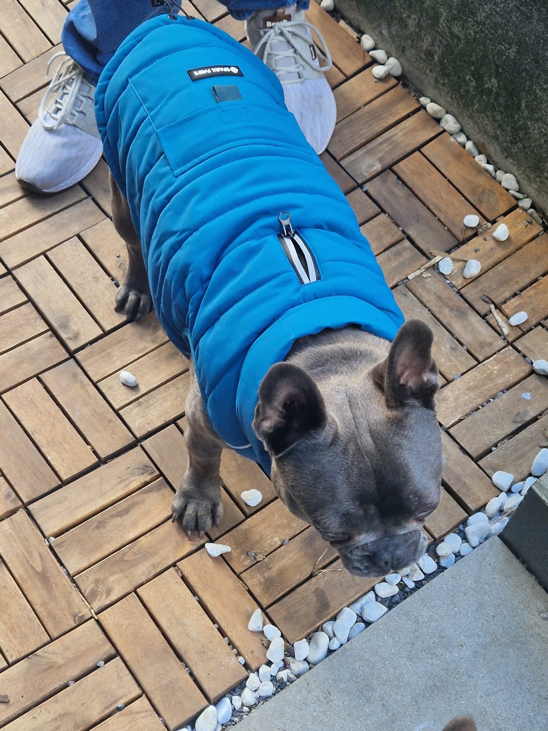 Customer photo review of WarmShield Water-Resistant Jacket - Teal