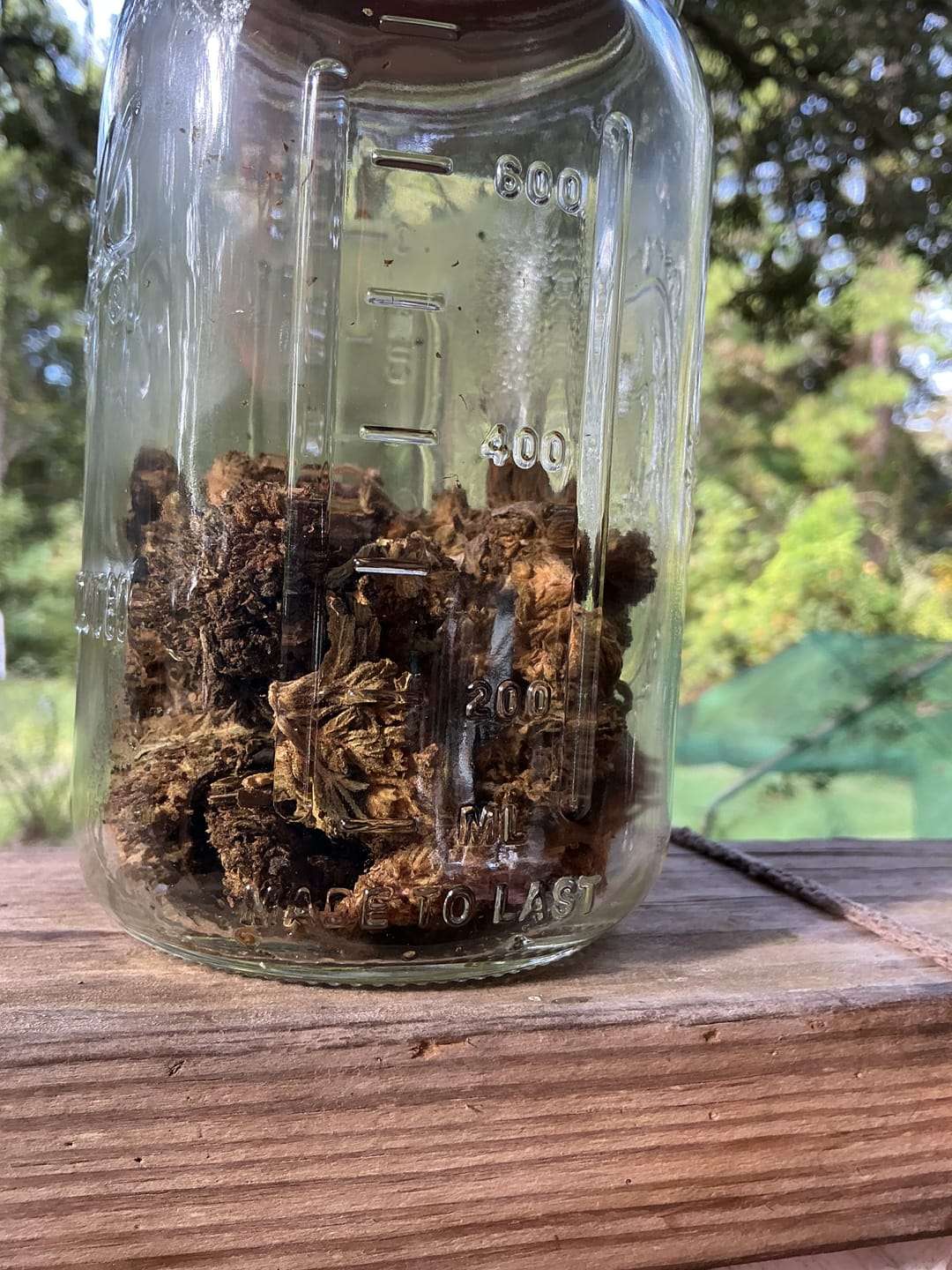 Customer photo review of Cheap THCA Flower Ounce