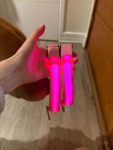 Customer photo review of Double-Light Collar to See Your Dog at Night
