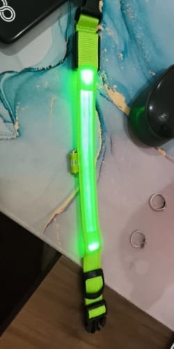 Customer photo review of Double-Light Collar to See Your Dog at Night