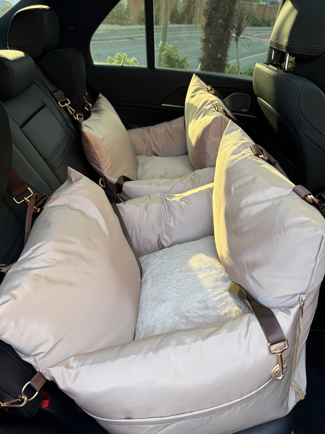 Customer photo review of Travel Dog Pod - Hazelnut