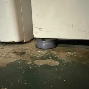 Customer photo review of Assorbente Vibrazioni Piedini Antiscivolo per Lavatrice