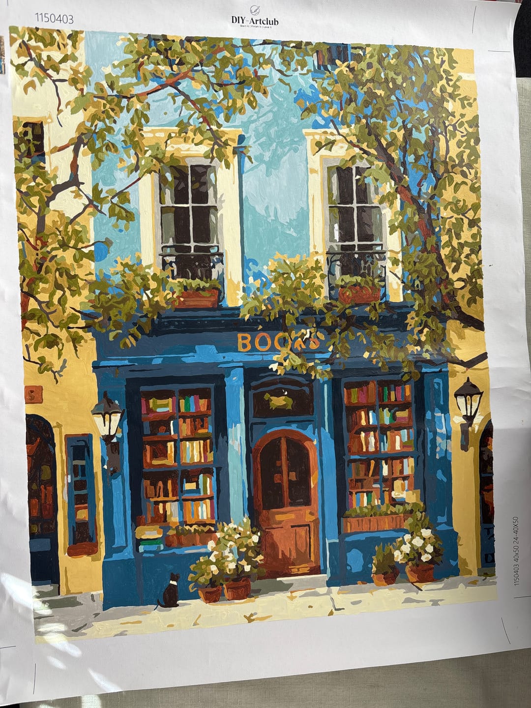 Customer photo review of The Blue Bookshop | Paint by Number