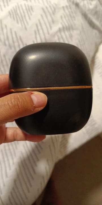 Customer photo review of Scalvée™ Mini Straightener