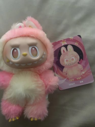 Customer photo review of Labubu V4 – Pin For Love Series Blind Box (A-M Full Set)