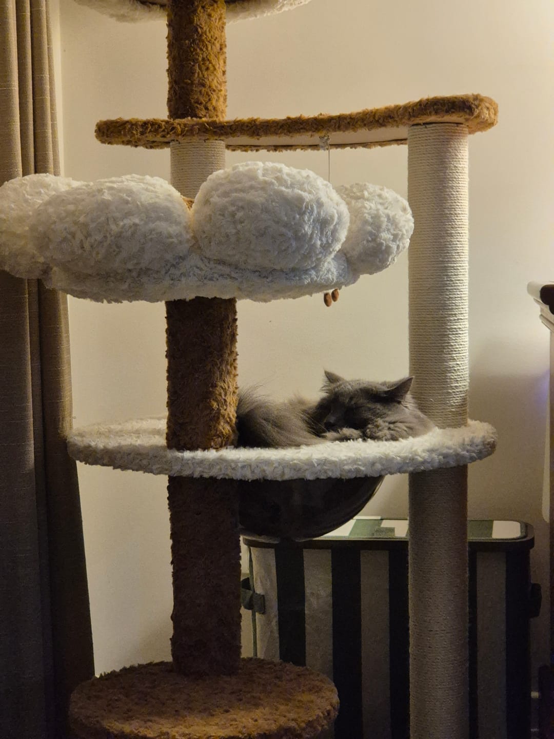 Customer photo review of Natural Bloom Multi-Platform Cat Tree