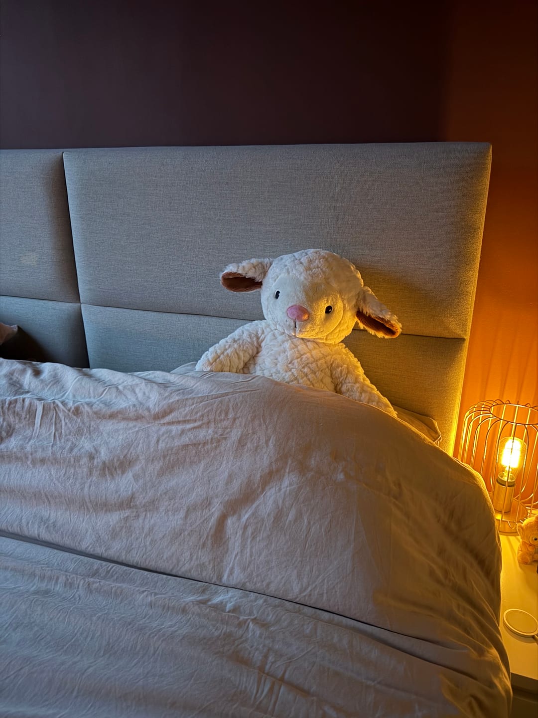 Customer photo review of Lotgenootje Schaap 2kg