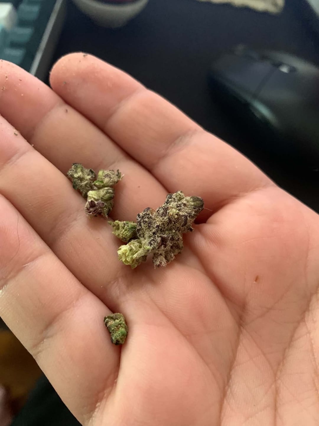 Customer photo review of KIND - Pink Runtz Indoor - Micro - 28 Grams - Hybrid