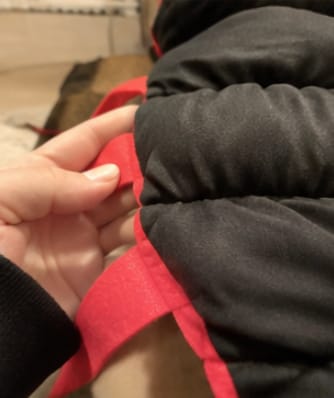 Customer photo review of Centipede Cat Costume