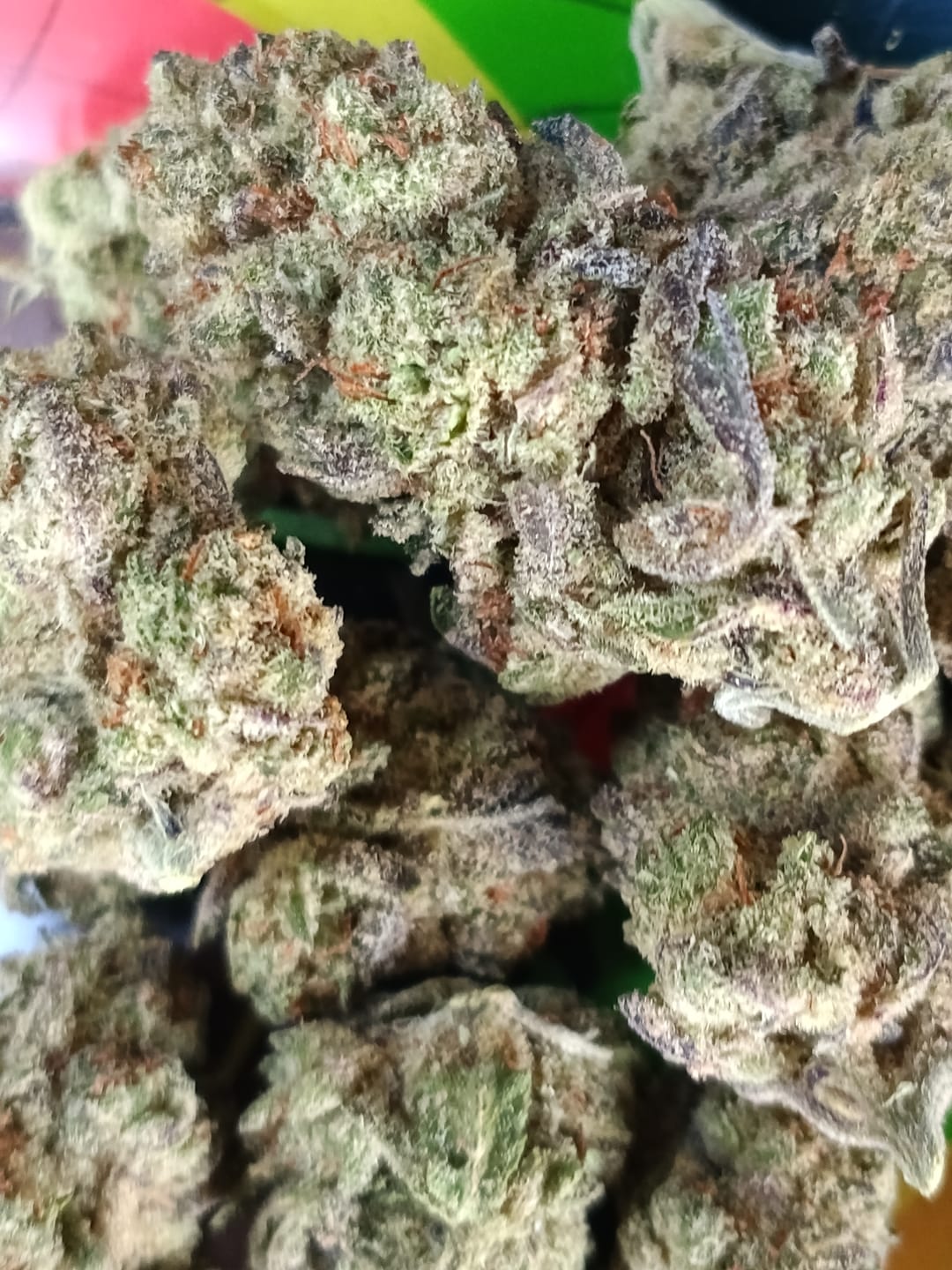 Customer photo review of Hyper Za THCA Flower