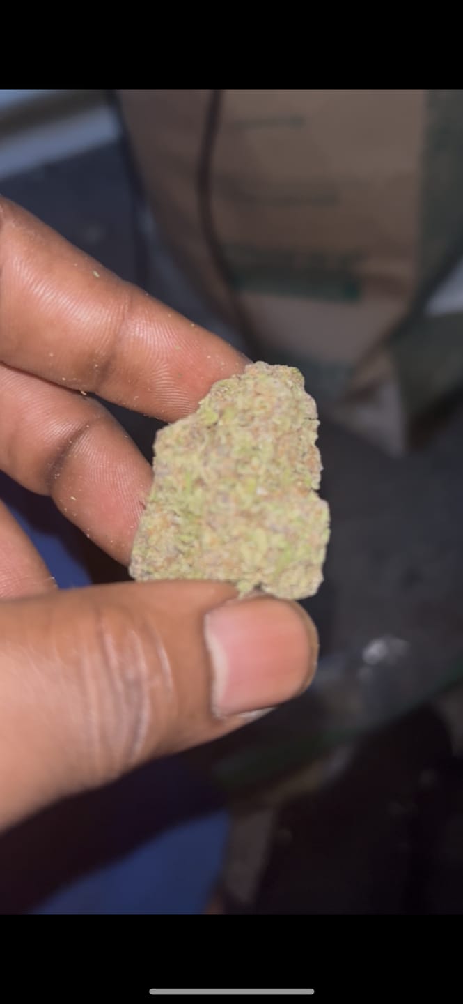 Customer photo review of White Nerds Indoor - Bulk - Hybrid