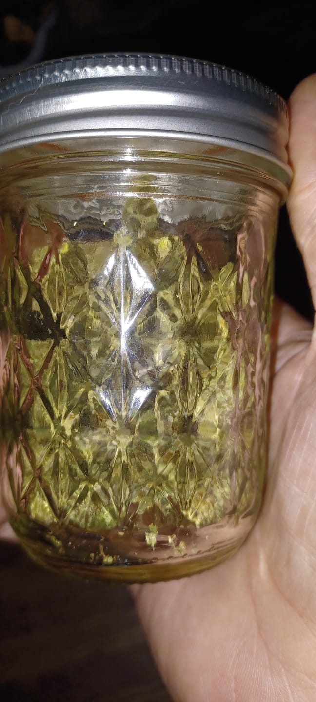 Customer photo review of Cheap THCA Flower Ounce