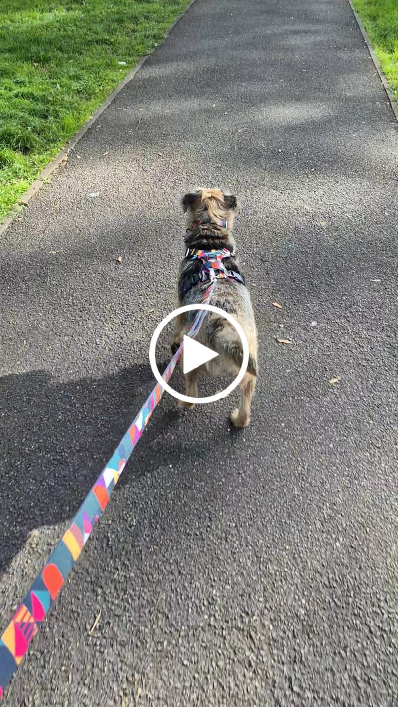 Customer video review of Close Control Lead