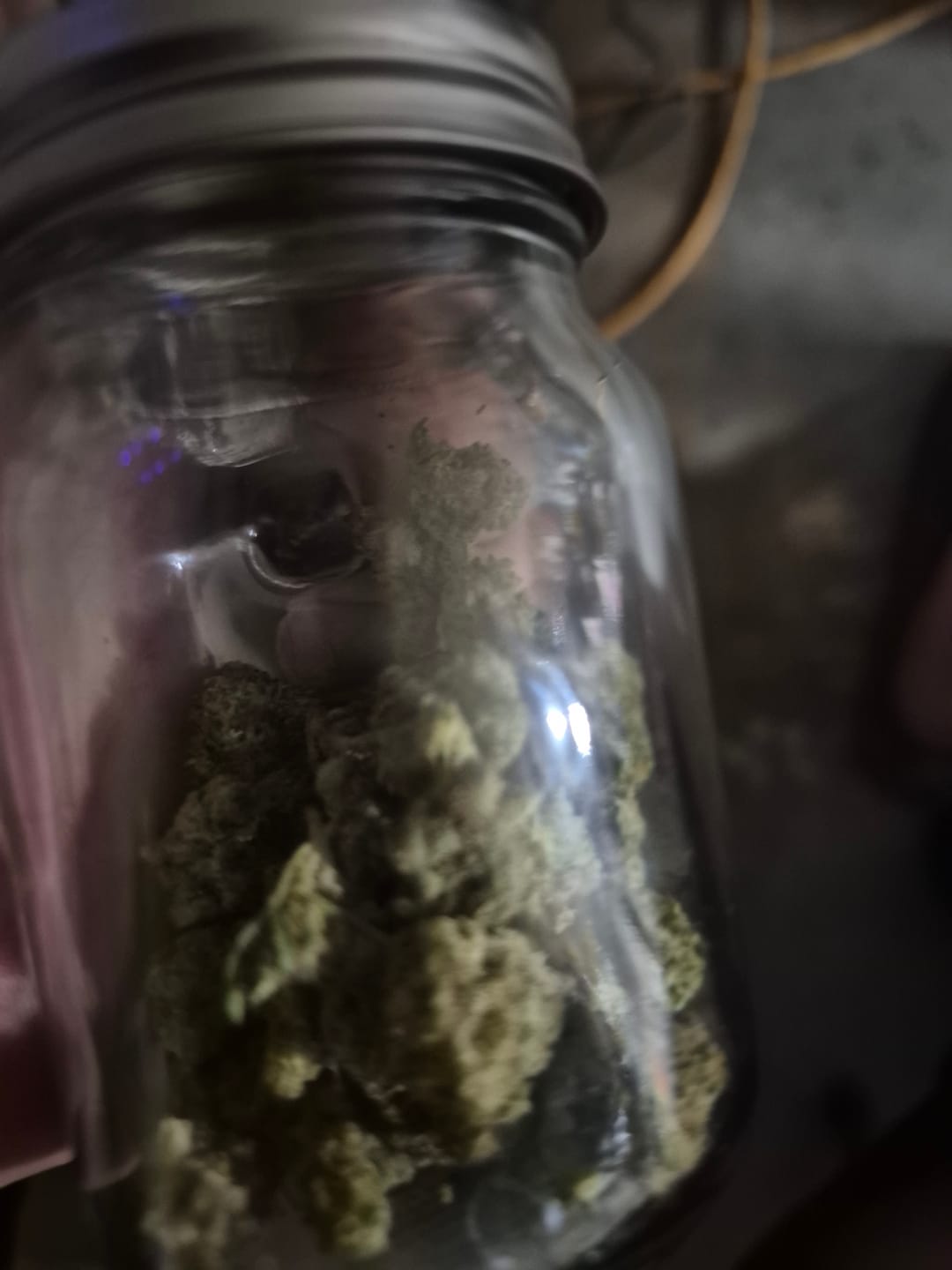 Customer photo review of Bulk THCA Smalls