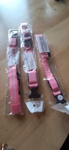 Customer photo review of Double-Light Collar to See Your Dog at Night
