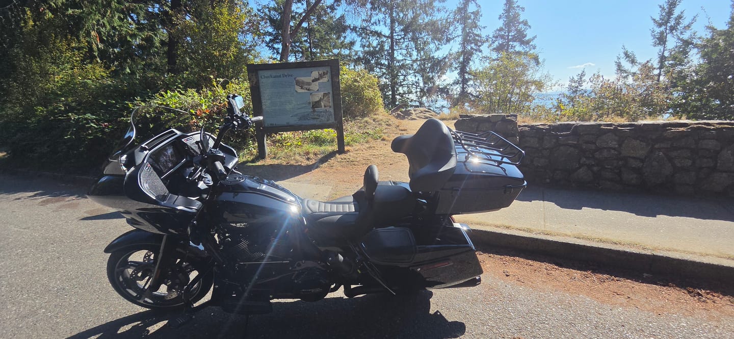 Customer photo review of Mocardine Diamond Grid Tour Trunk Pack Inner Liners 2014+touring models
