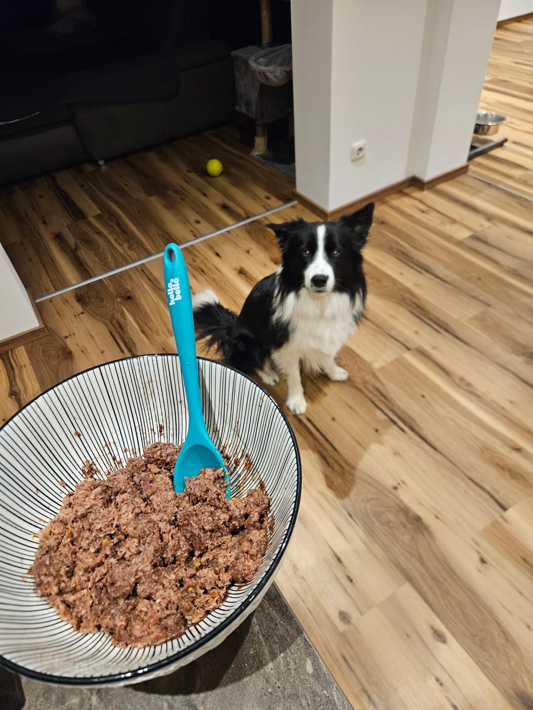 Customer photo review of Frischfutter für Energiebedarf von 774 kCal/Tag