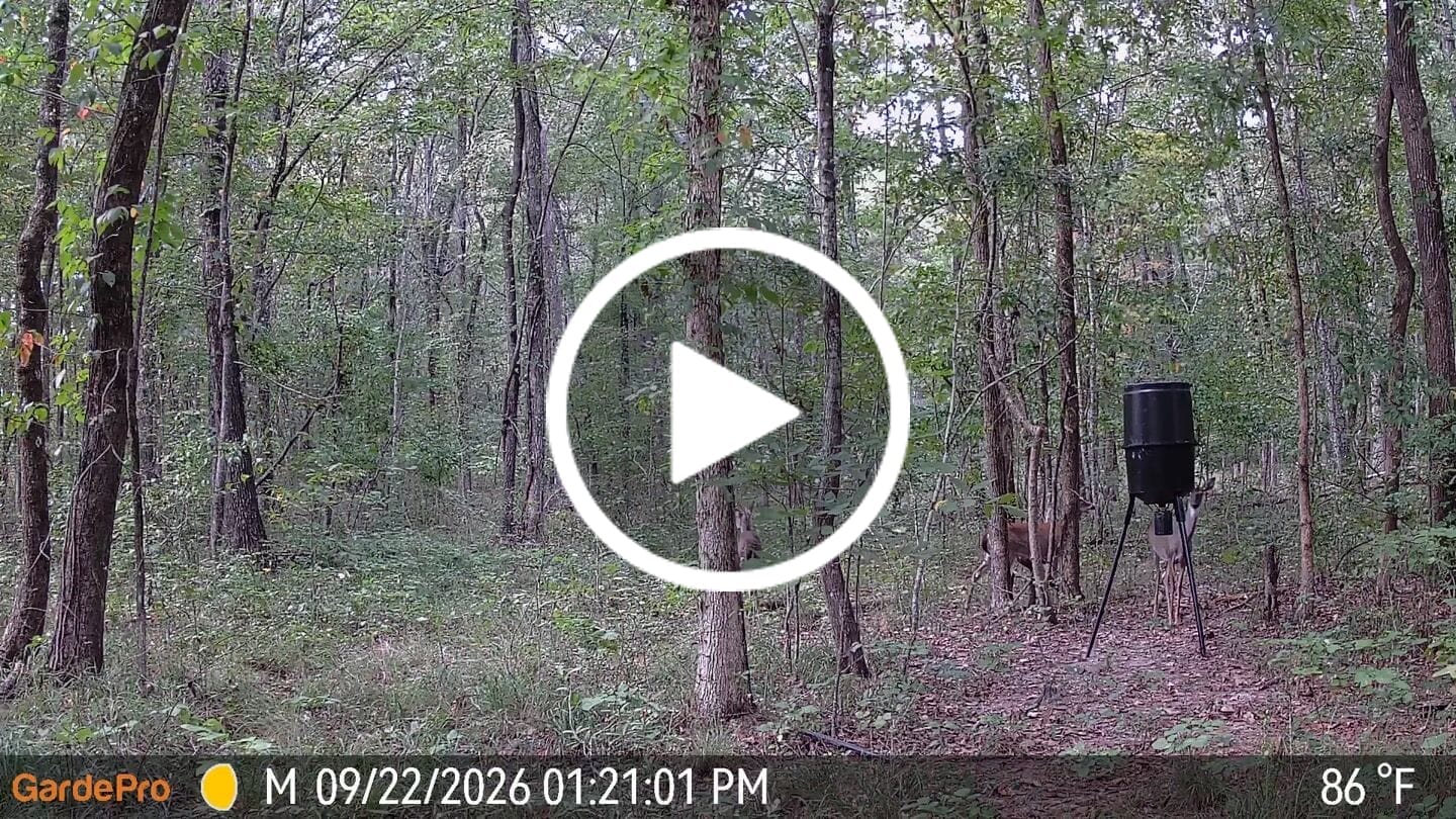 Customer video review of GardePro A3S Non-Cellular Trail Camera