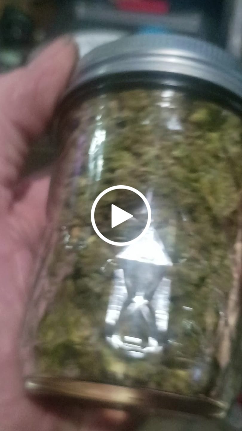 Customer video review of LITTLES BRAND - Black Cherry Runtz - 28 Grams Littles - Indica