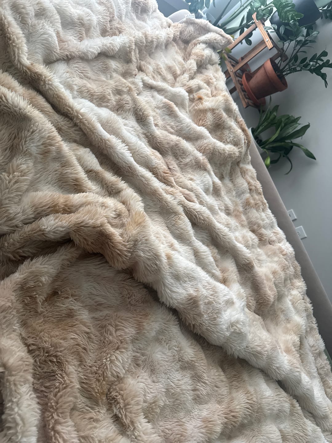 Customer photo review of Cloud Throw Blanket