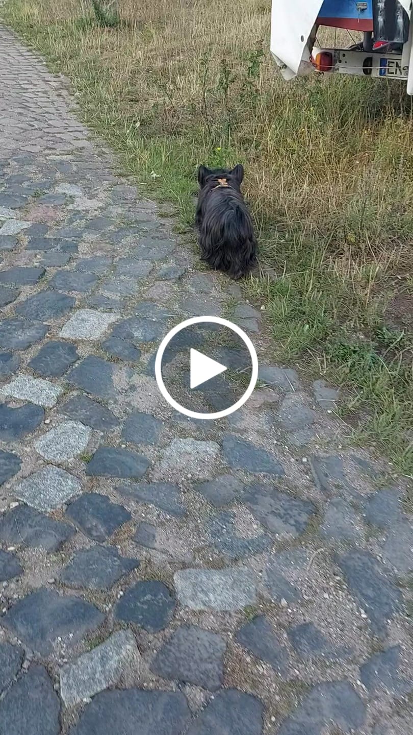Customer video review of Wurmtest Plus Hund