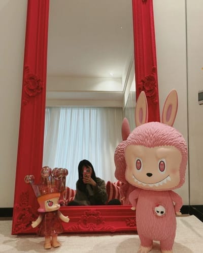 Customer photo review of Labubu V4 – Pin For Love Series Blind Box (A-M Full Set)
