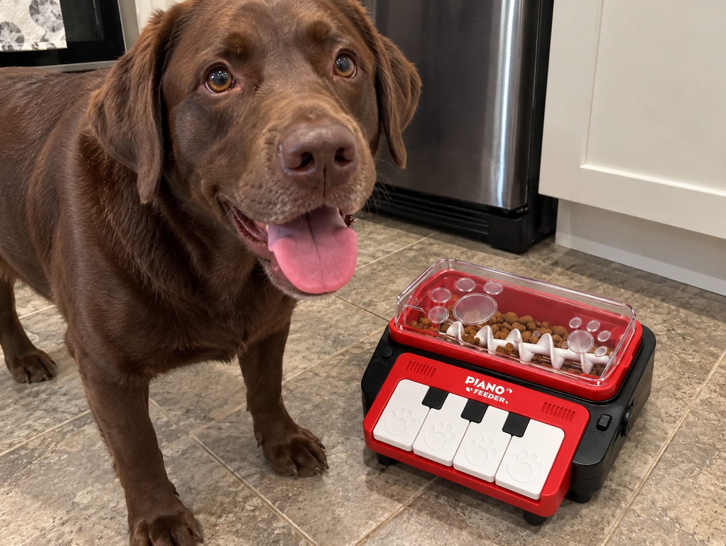 Customer photo review of Leckerli-Klavier, das Hund & Katze beschäftigt