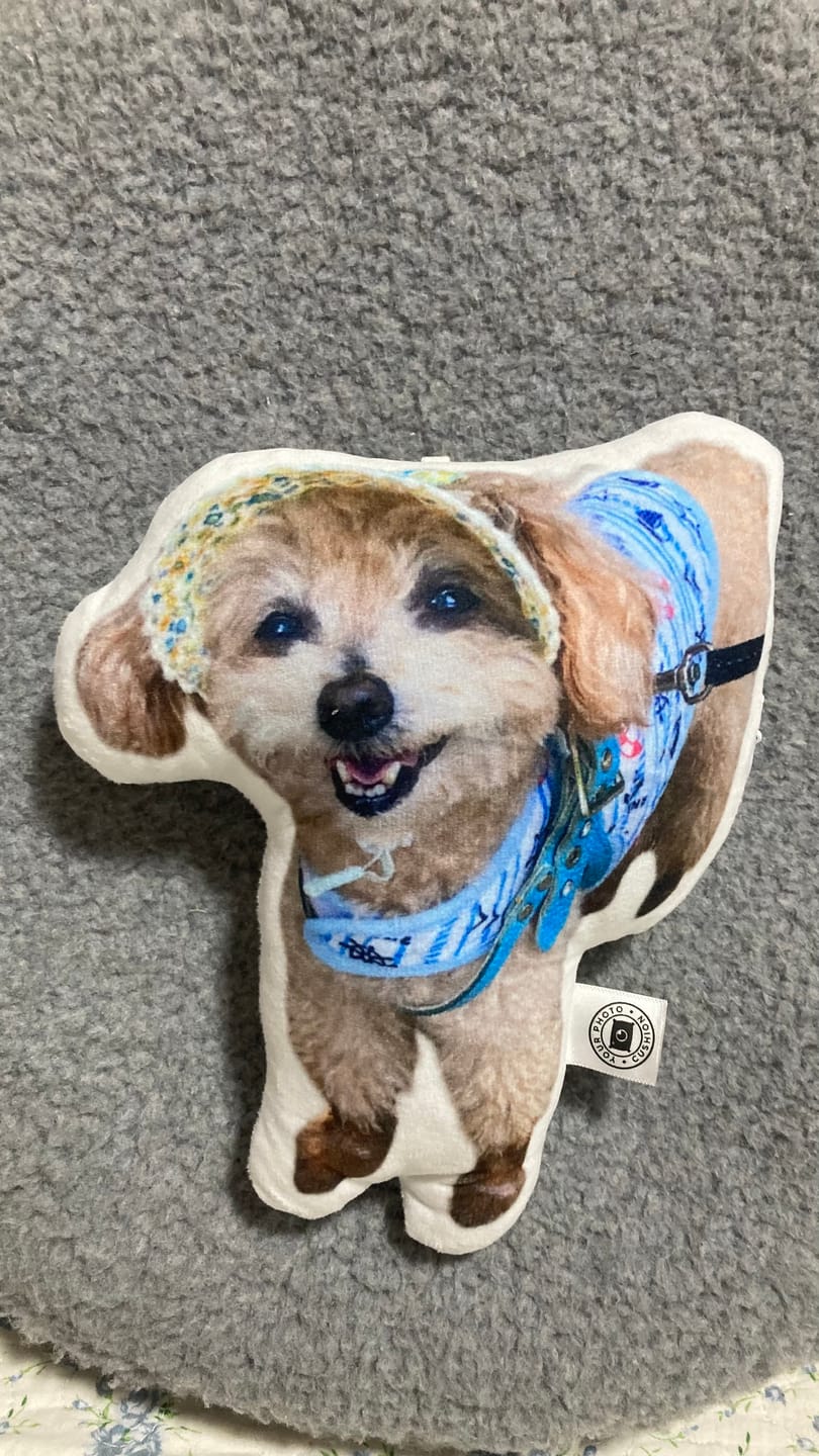 Customer photo review of 世界にひとつだけ♪好きな写真で作るオーダーメイドクッション（20～80cm）