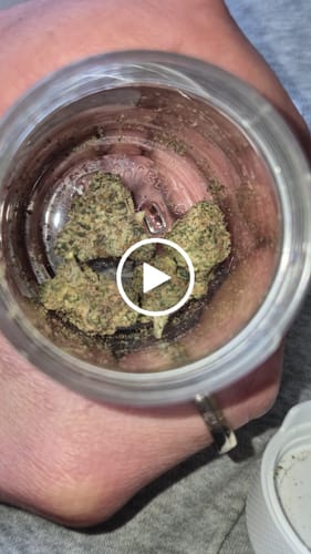 Customer video review of THC-A 34% Flower Do-Si-Dos x Gelato